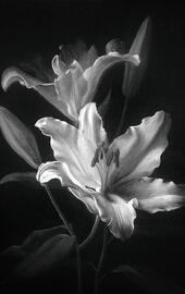 notsafe4work samples