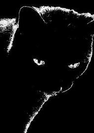 more&amp;more samples